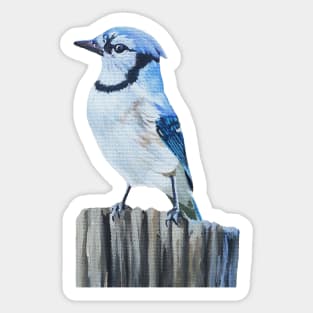 Blue Jay on a Post - fall bird painting (no background) Sticker